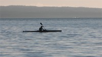 Canoeist in the Morning, Waitemata